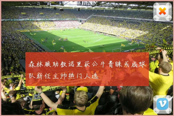 森林狼助教诺里获公牛青睐或成球队新任主帅热门人选