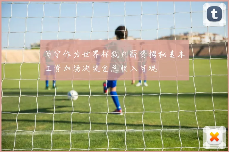 马宁作为世界杯裁判薪资揭秘基本工资加场次奖金总收入可观