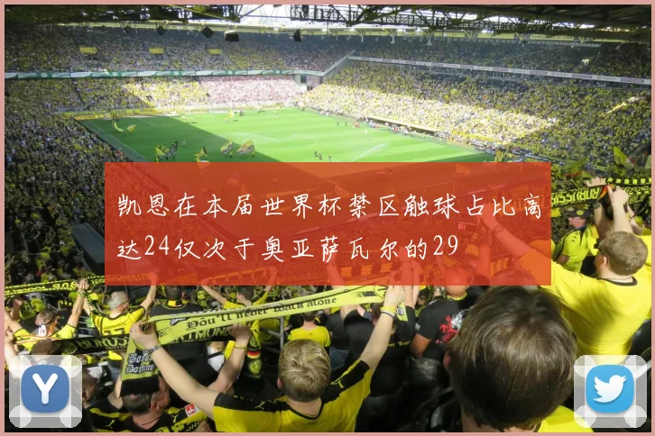 凯恩在本届世界杯禁区触球占比高达24仅次于奥亚萨瓦尔的29